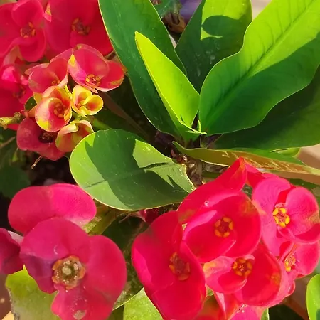 Profumo Di Mare Casa vacanze *